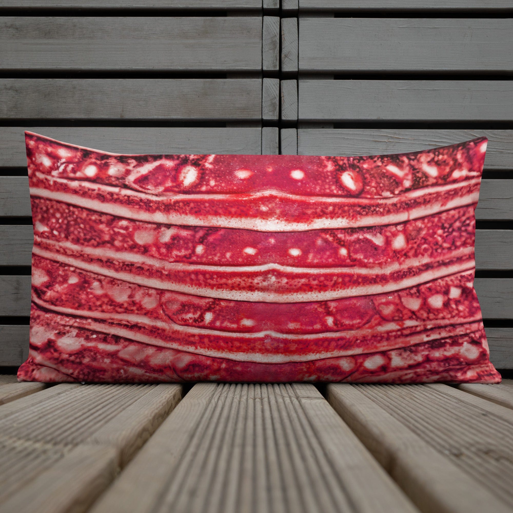 Salt Skins Home Decor Salt Skins Premium Beach House Pillows - Lobster Series Red