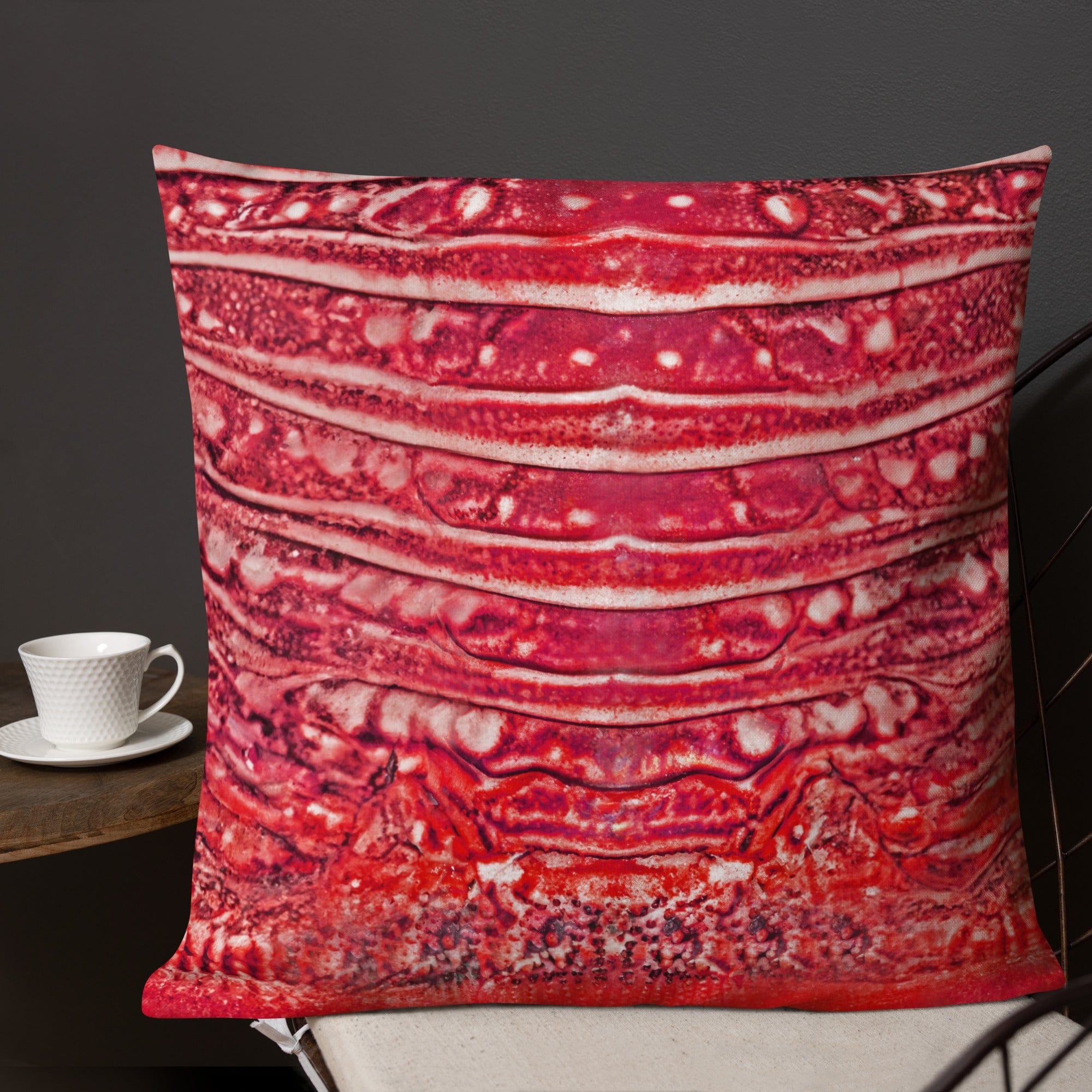 Salt Skins Home Decor Salt Skins Premium Beach House Pillows - Lobster Series Red