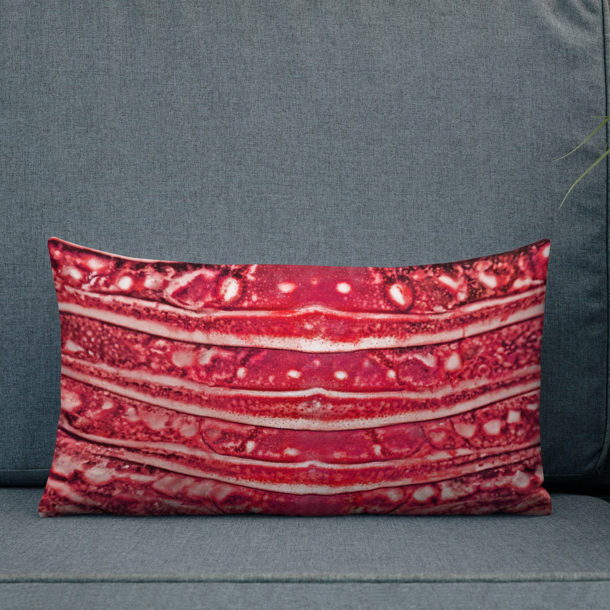 Salt Skins Home Decor Salt Skins Premium Beach House Pillows - Lobster Series Red