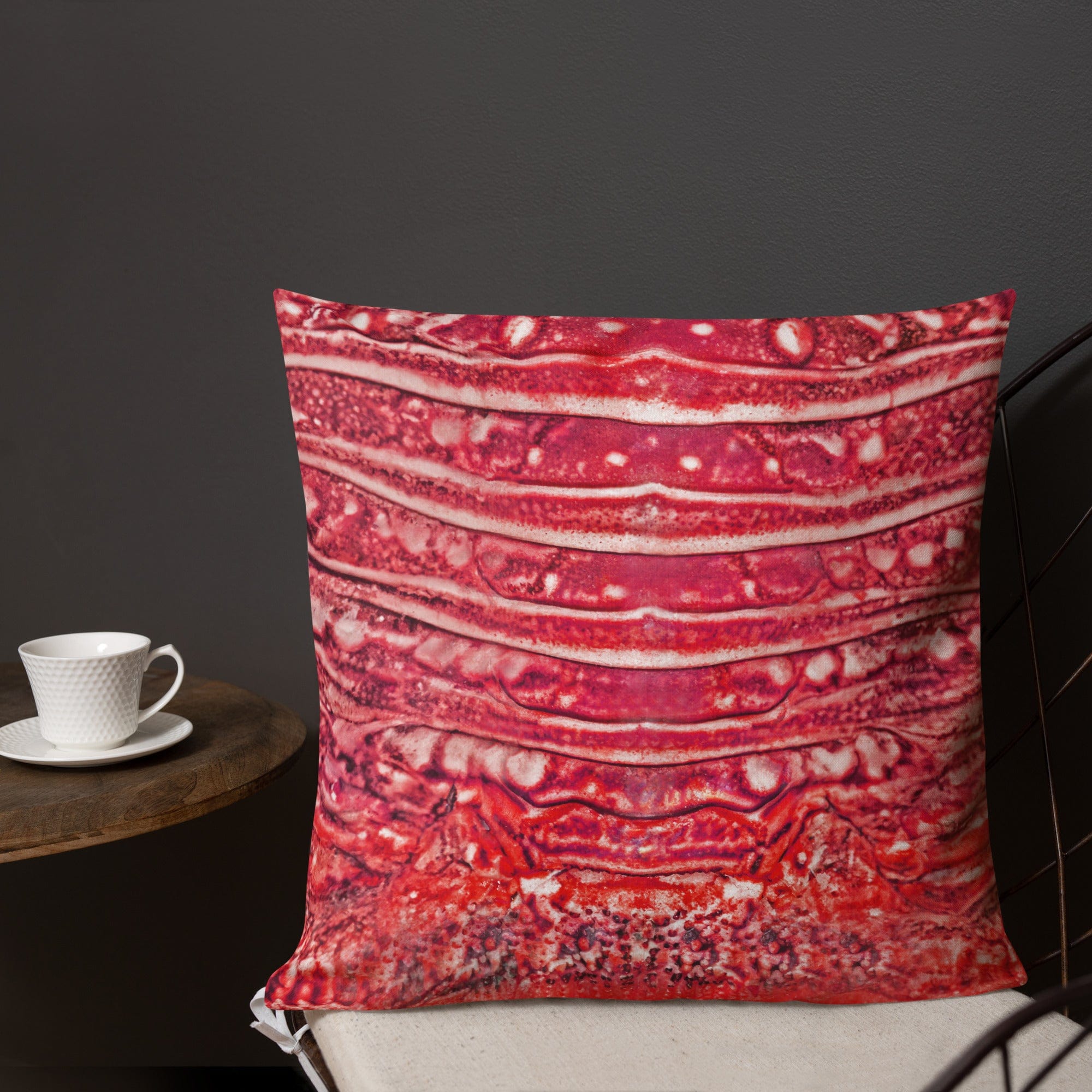 Salt Skins Home Decor Salt Skins Premium Beach House Pillows - Lobster Series Red