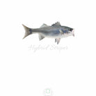 Printify Long-sleeve Hybrid Striper Bass Men's Performance Fishing Crew Neck